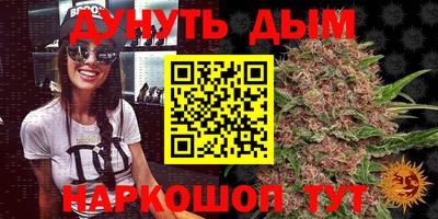 гашик Шахты