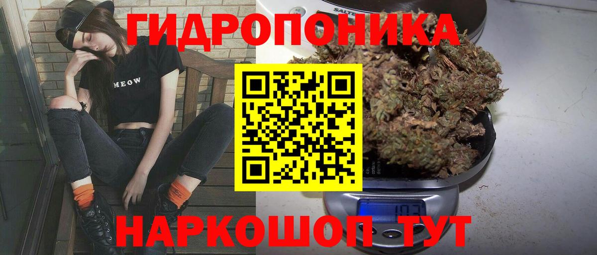 Бошки Шишки план  Вход с VPN  Конопля гибрид  Вышний Волочёк  Шишки марихуана Bruce Banner 